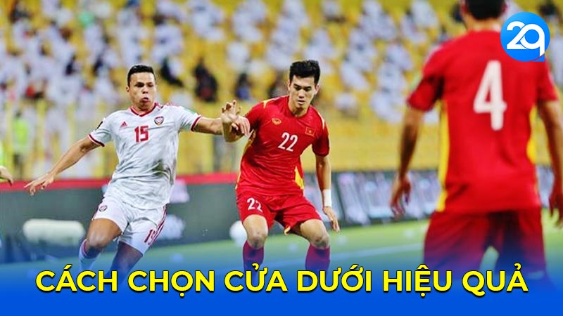 Cách chọn cửa dưới hiệu quả