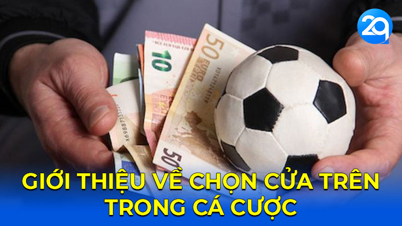 Giới thiệu về chọn cửa trên trong cá cược