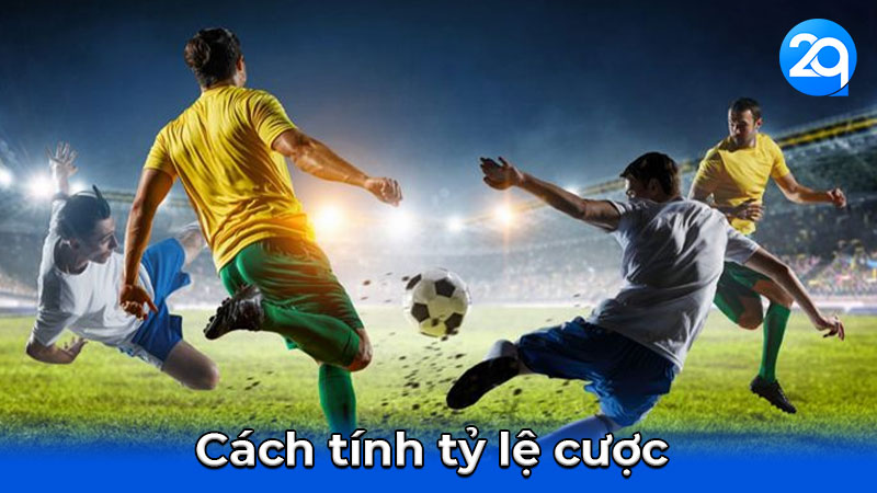 Cách tính tỷ lệ cược