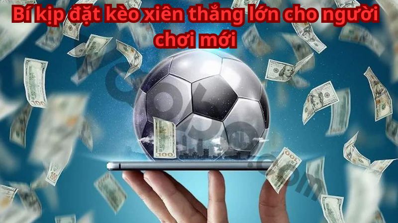 Bí kíp đặt kèo xiên thắng lớn cho người chơi mới